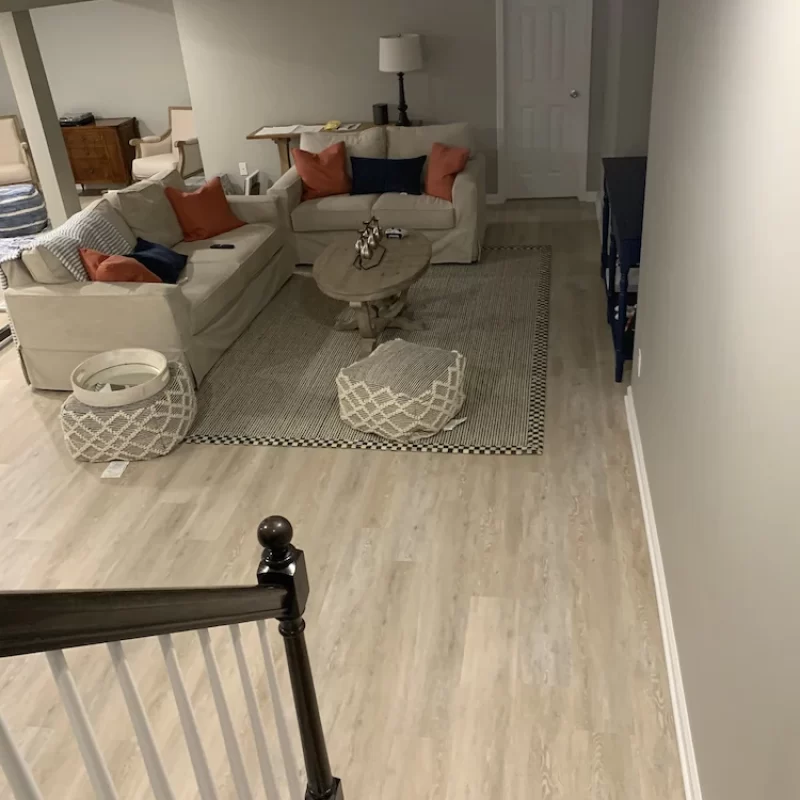 Basement-Genesis-Design-Group-project