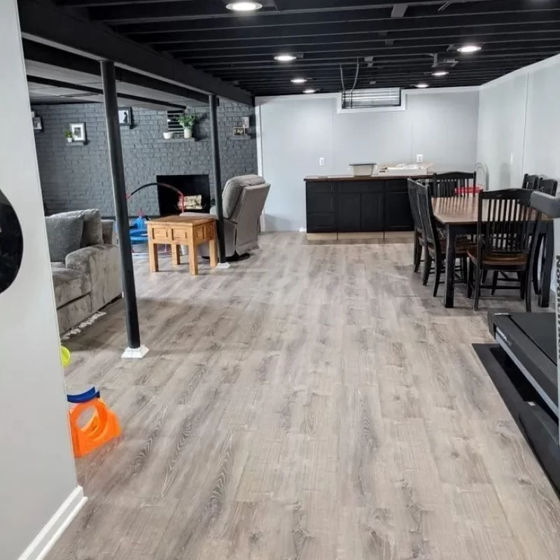 Basement-Genesis-Design-Group-project